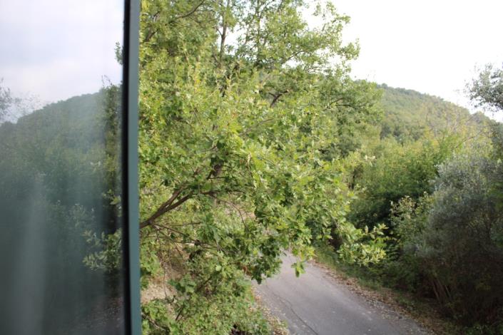 Image No.8-3 Bed Country House for sale