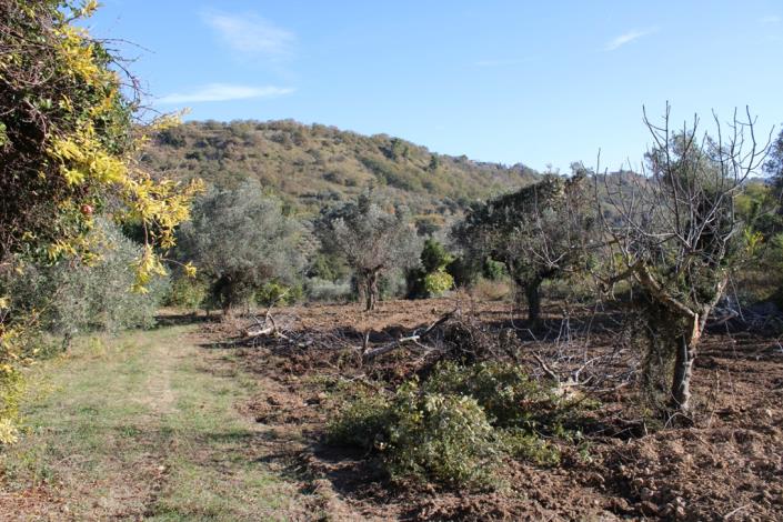 Image No.3-3 Bed Country Property for sale