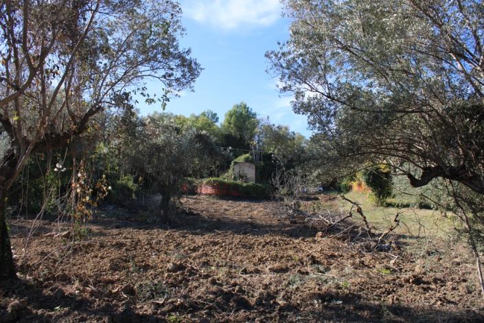 Image No.1-3 Bed Country Property for sale