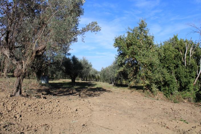 Image No.4-3 Bed Country Property for sale