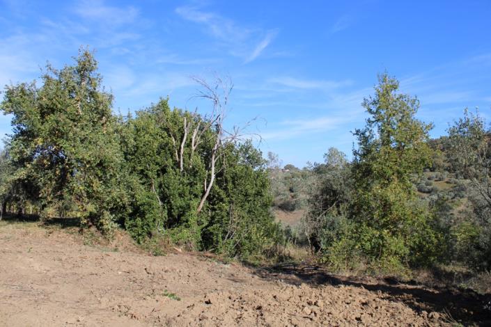 Image No.5-3 Bed Country Property for sale