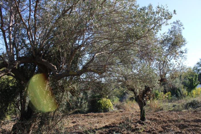 Image No.15-3 Bed Country Property for sale