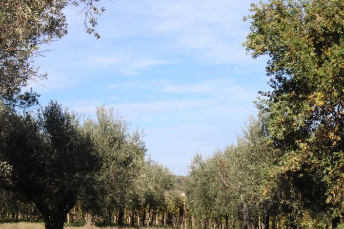 Image No.19-3 Bed Country Property for sale