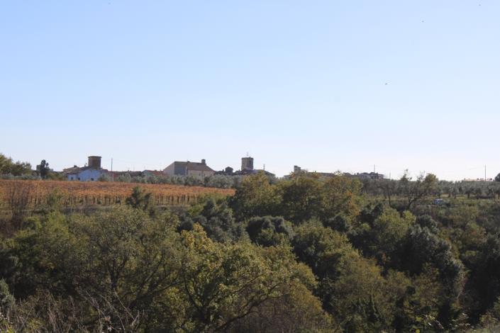 Image No.33-3 Bed Country House for sale