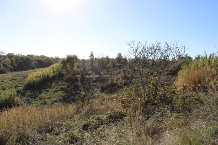 Image No.36-3 Bed Country House for sale