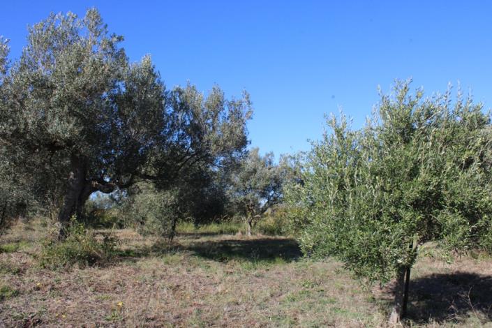 Image No.39-3 Bed Country House for sale