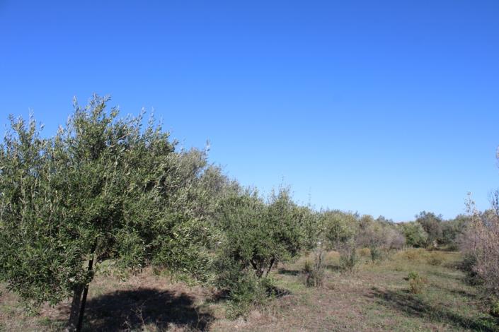 Image No.40-3 Bed Country House for sale