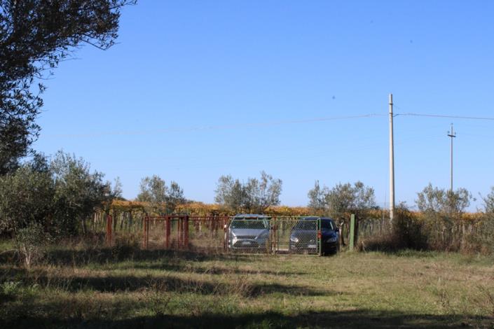 Image No.47-3 Bed Country House for sale