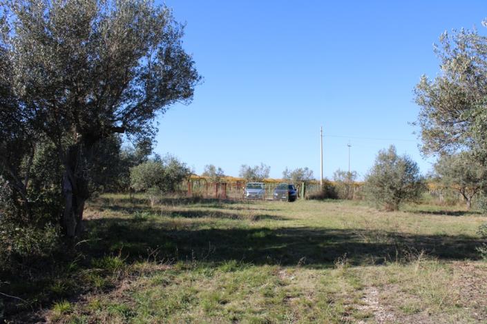 Image No.46-3 Bed Country House for sale