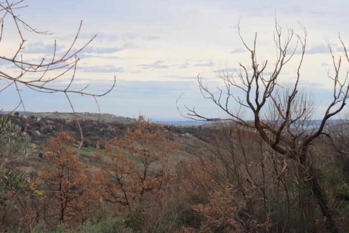 Image No.4-Terrain de 3 chambres à vendre à Palombaro