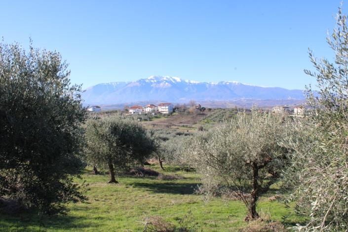 Image No.12-2 Bed Townhouse for sale