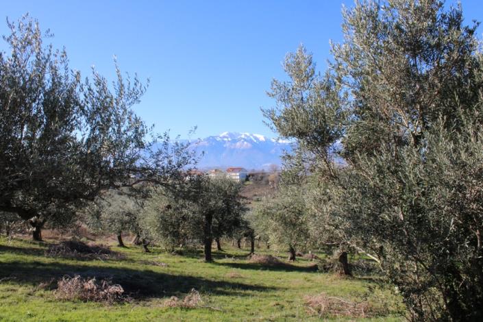 Image No.5-2 Bed Townhouse for sale