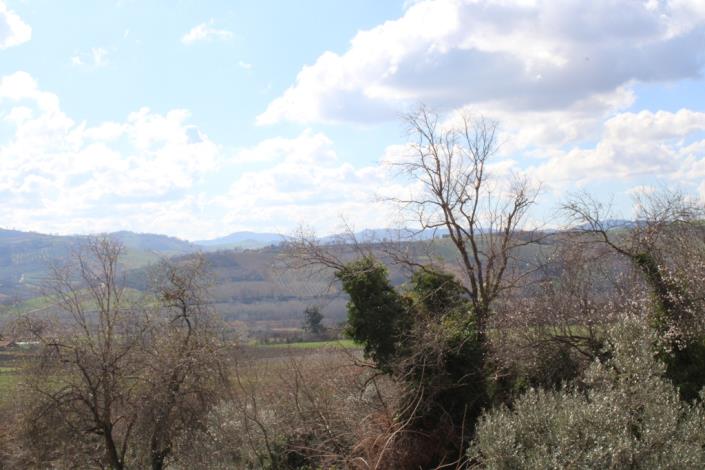 Image No.10-2 Bed House for sale