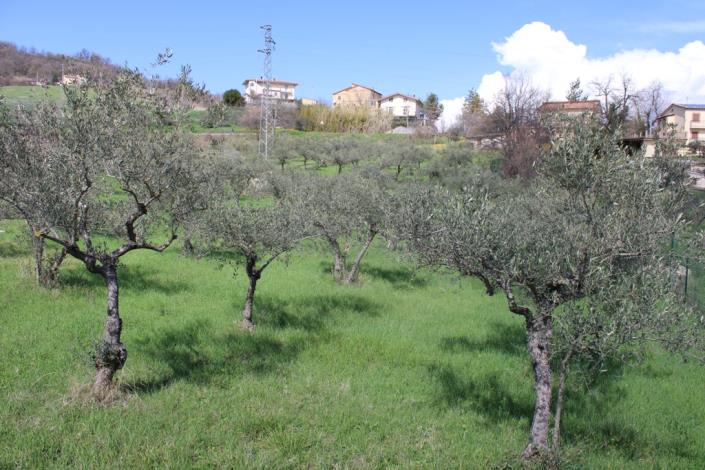 Image No.4-4 Bed House for sale