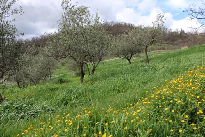 Image No.13-4 Bed House for sale