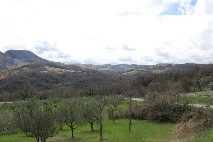 Image No.14-4 Bed House for sale