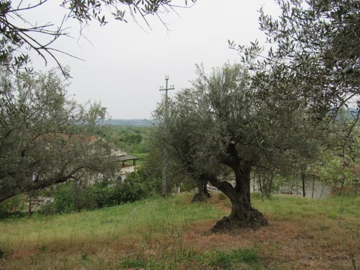 Image No.19-3 Bed Country House for sale