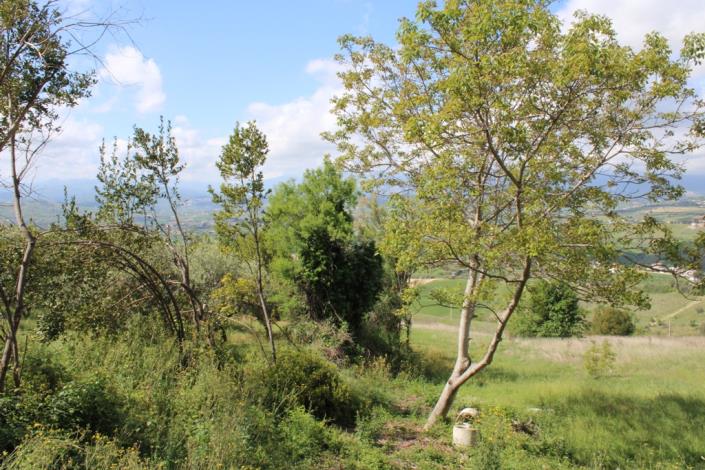 Image No.7-4 Bed Townhouse for sale