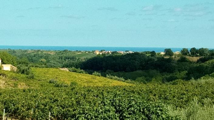 Image No.5-Maison de ville de 3 chambres à vendre à Crecchio