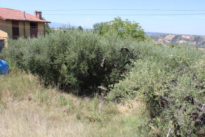 Image No.5-2 Bed Townhouse for sale