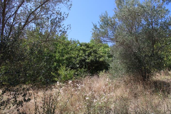 Image No.5-5 Bed Villa / Detached for sale