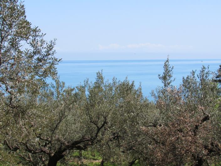 Image No.19-2 Bed Country House for sale