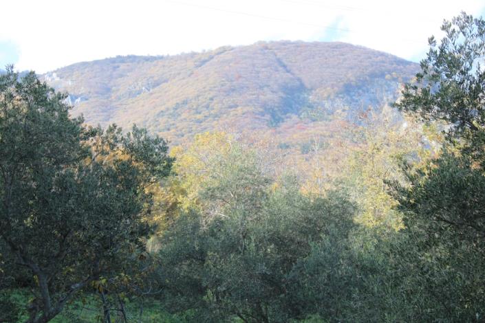 Image No.3-Terrain de 2 chambres à vendre à Civitella Messer Raimondo