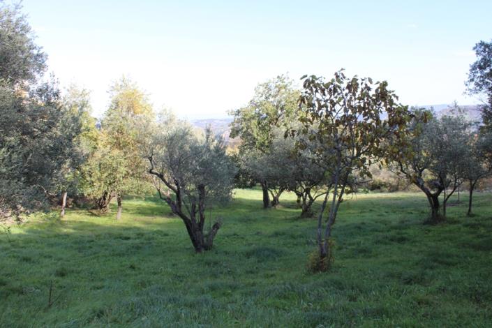 Image No.5-Terrain de 2 chambres à vendre à Civitella Messer Raimondo