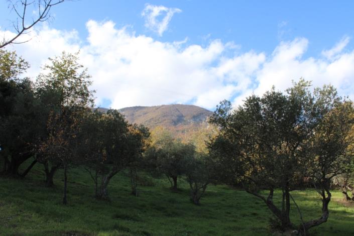 Image No.6-Terrain de 2 chambres à vendre à Civitella Messer Raimondo