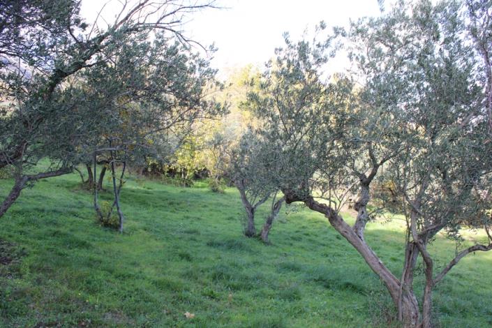 Image No.8-Terrain de 2 chambres à vendre à Civitella Messer Raimondo