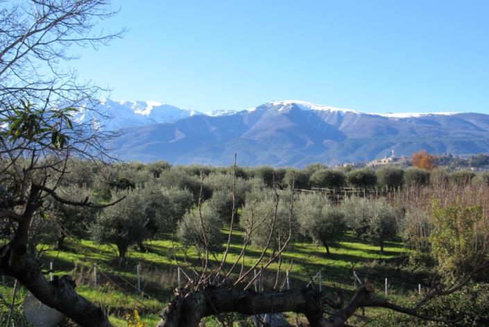 Image No.3-Maison de campagne de 2 chambres à vendre à Filetto