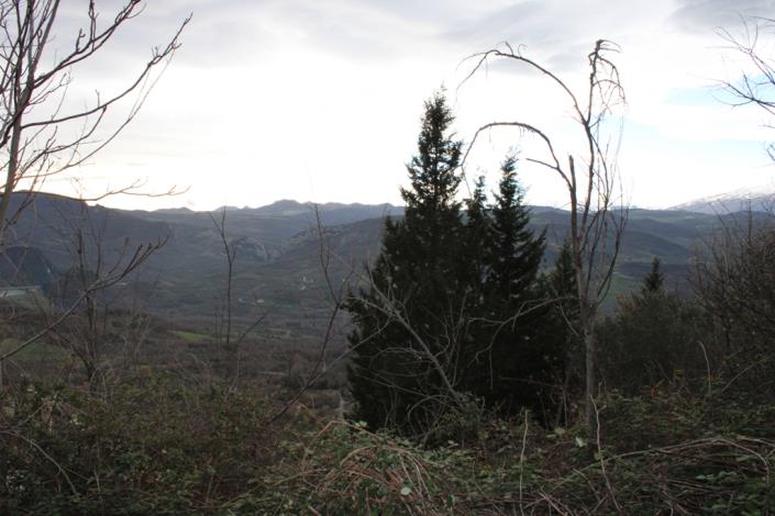 Image No.7-2 Bed Country House for sale