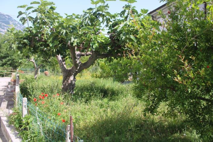 Image No.4-5 Bed House/Villa for sale