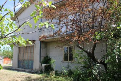 n3184-photo-f