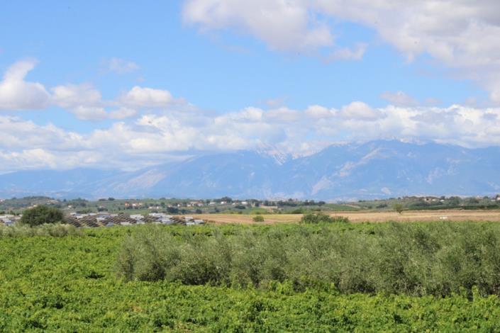 Image No.4-3 Bed Villa / Detached for sale