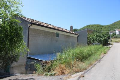 n3186-photo-n