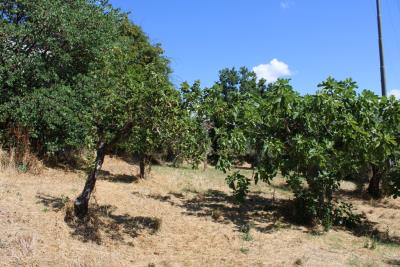 n3186-photo-o