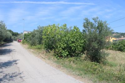 n3188-photo-f