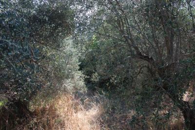 n3188-photo-h