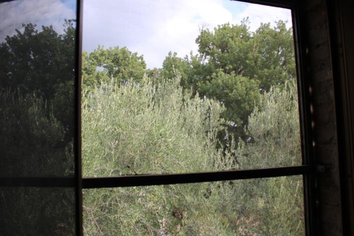 Image No.17-1 Bed Country House for sale