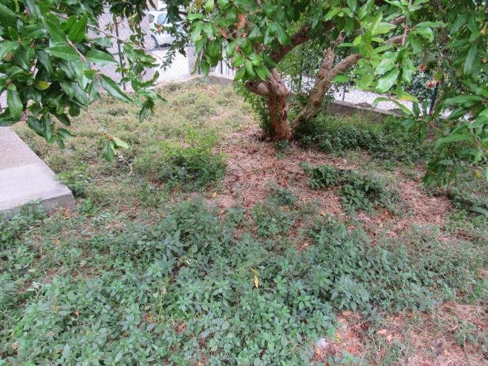 Image No.4-Maison de ville de 2 chambres à vendre à Bomba