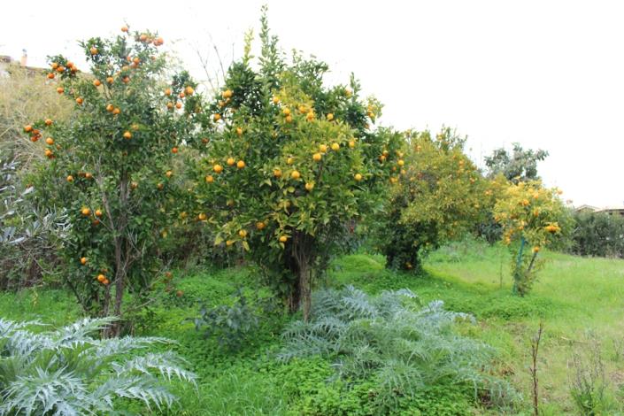 Image No.15-6 Bed Semi-Detached for sale