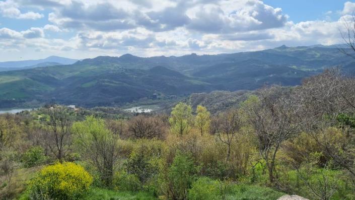 Image No.8-4 Bed Country House for sale