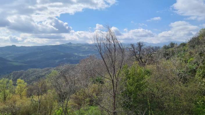 Image No.9-4 Bed Country House for sale