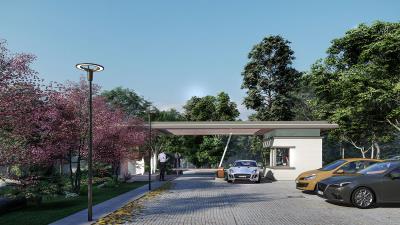 P_photo_set_3_22---Foto