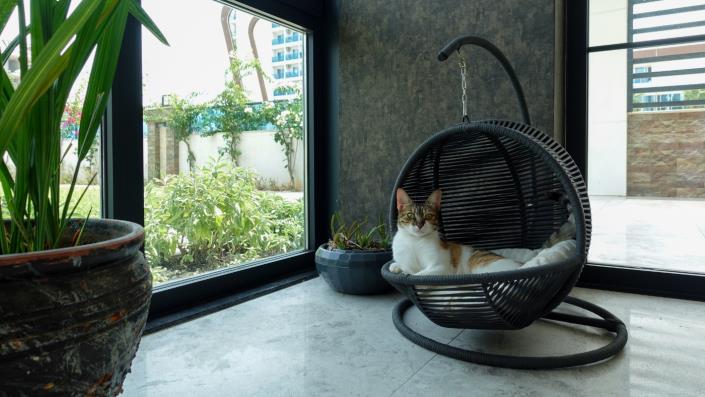 Image No.11-2 Bed Apartment for sale