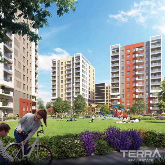 Image No.34-Studio for sale