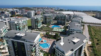 DJI_0486