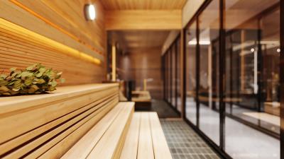 SAUNA-1