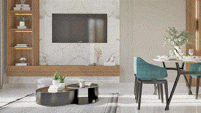 1-1tip1-salonmutfak-camera1b